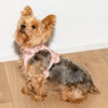 WILD ONE Dog Harness Small - Blush Pink **CLEARANCE**