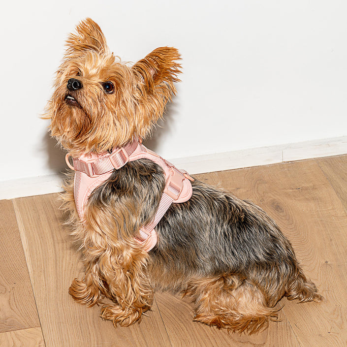 WILD ONE Dog Harness Small - Blush Pink