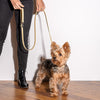 WILD ONE Dog Leash - Tan **CLEARANCE**