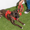 WILD ONE Dog Poop Bag Carrier - Coral Red **CLEARANCE**
