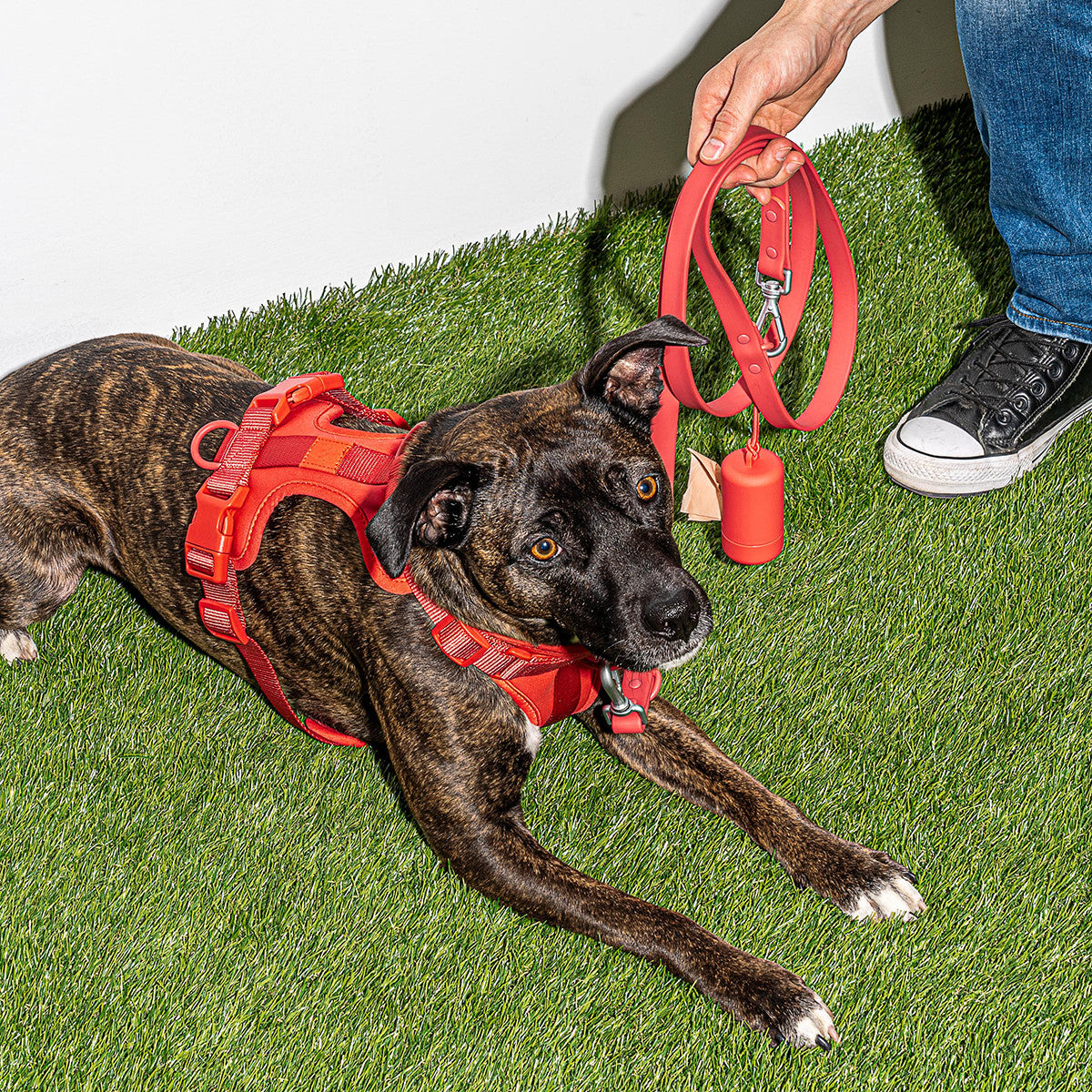 Load image into Gallery viewer, WILD ONE Dog Poop Bag Carrier - Coral Red **CLEARANCE**