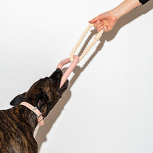 Load image into Gallery viewer, WILD ONE Dog Toy Triangle Tug - Blush Pink