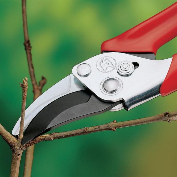 Load image into Gallery viewer, Trimming with WOLF GARTEN Classic Economy Bypass Secateurs