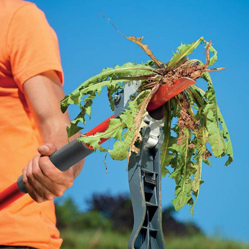 Weed extractor in use
