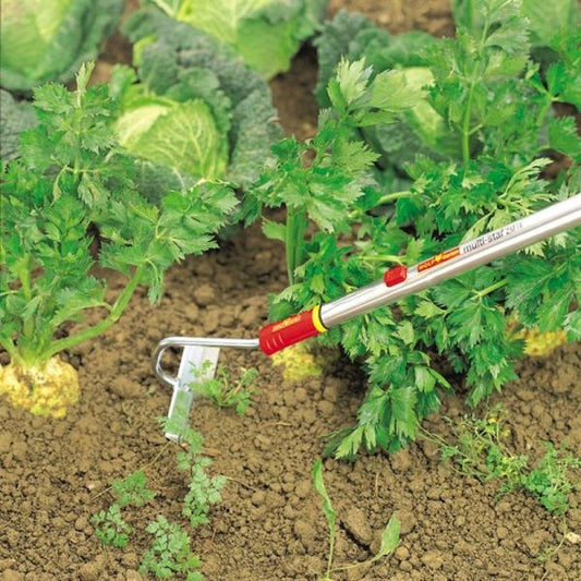 WOLF GARTEN Floral Hoe in use