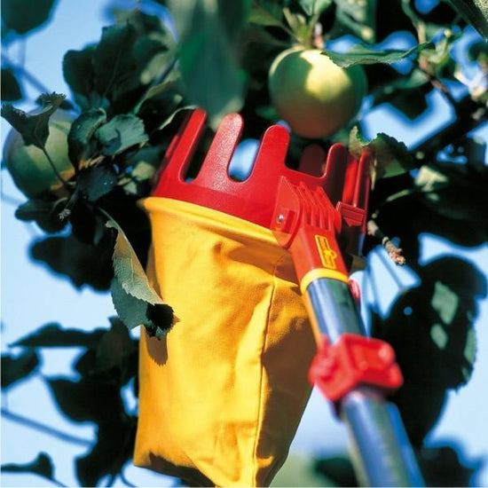 Picking with WOLF GARTEN | Multi-star Adjustable Fruit Picker