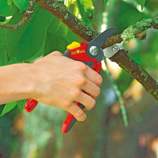 Trimming with WOLF GARTEN | Premium Plus Anvil Secateur