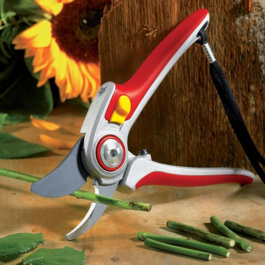 Trimming with WOLF GARTEN Professional Plus Large Bypass Secateur