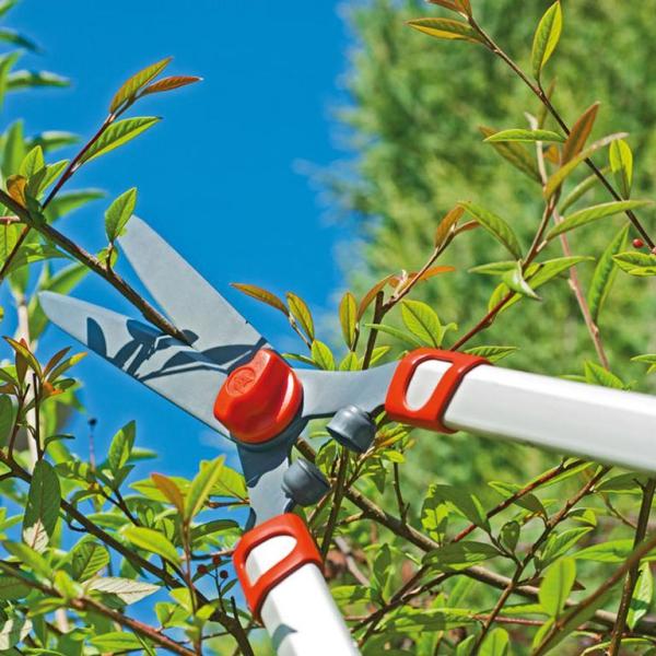 Trimming with the WOLF GARTEN | Telescopic Hedge Shears