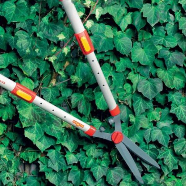 WOLF GARTEN | Telescopic Hedge Shears on the hedge