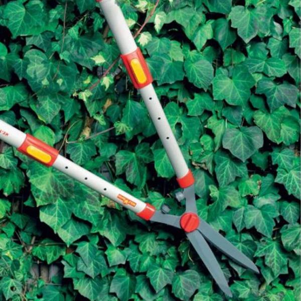 Load image into Gallery viewer, WOLF GARTEN | Telescopic Hedge Shears on the hedge