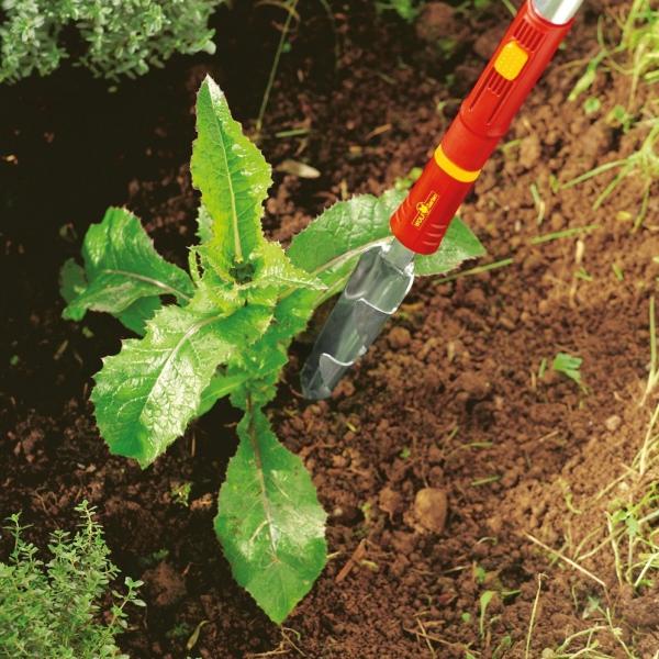 Weeding out with the WOLF GARTEN | Weed Extractor