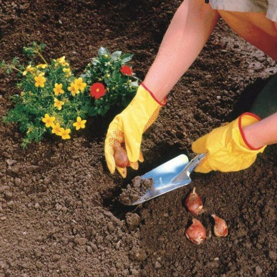 WOLF GARTEN | Galvanised Wide Flower Trowel in the garden