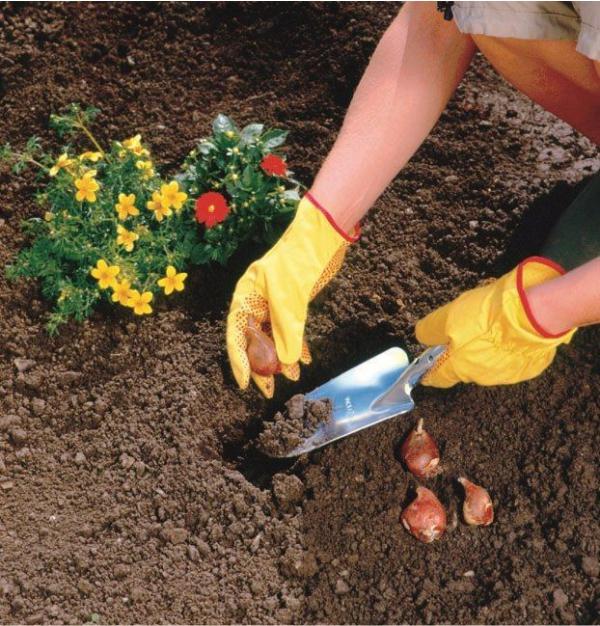 WOLF GARTEN | Galvanised Wide Flower Trowel in the garden
