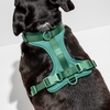 WILD ONE Dog Harness Large - Spruce **CLEARANCE**