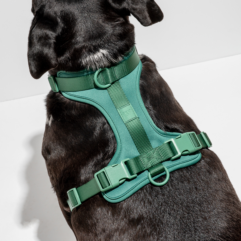 Load image into Gallery viewer, WILD ONE Dog Harness Large - Spruce