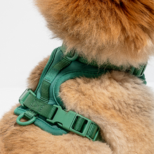 Load image into Gallery viewer, WILD ONE Dog Harness Small - Spruce