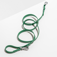 Load image into Gallery viewer, WILD ONE Dog Leash - Spruce