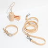 WILD ONE Dog Collar Walk Kit - Tan