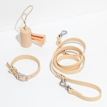 WILD ONE Dog Collar Walk Kit - Tan