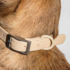 WILD ONE Dog Collar Walk Kit - Tan