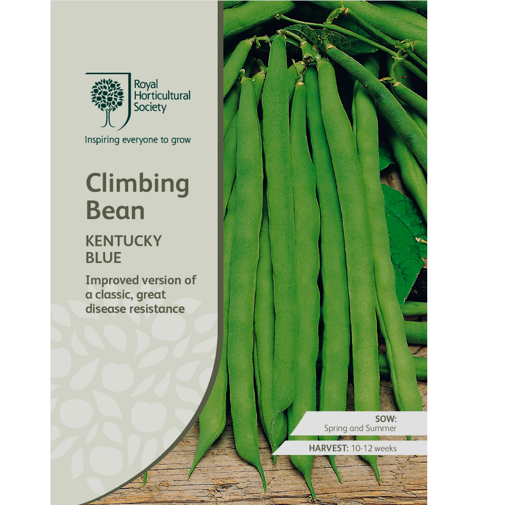 ROYAL HORTICULTURAL SOCIETY Seeds - Climbing Bean Kentucky Blue