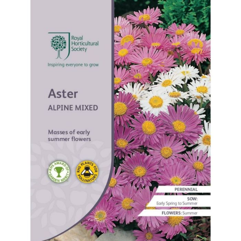ROYAL HORTICULTURAL SOCIETY Seeds - Aster Alpine Mixed