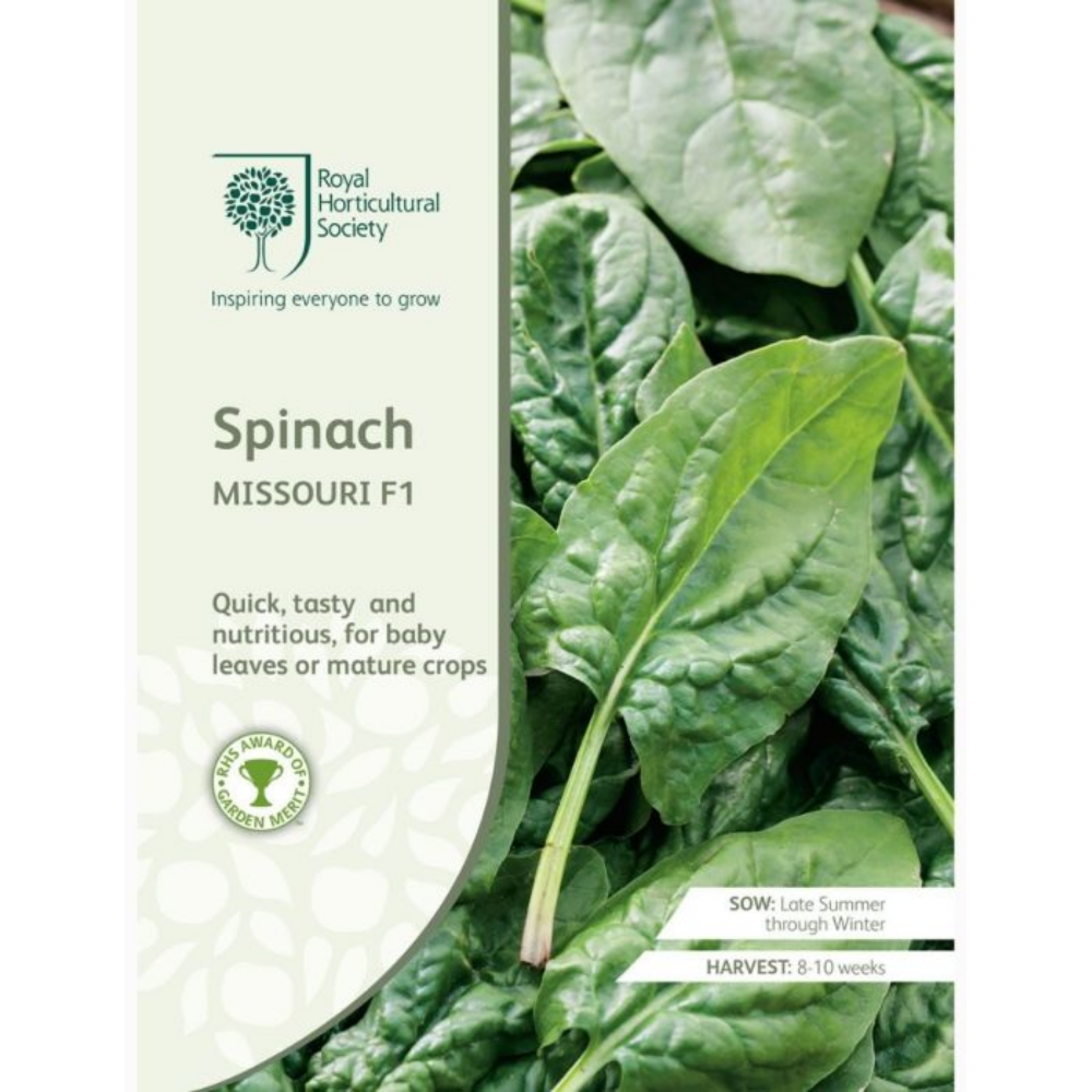 ROYAL HORTICULTURAL SOCIETY Seeds - Spinach Missouri F1