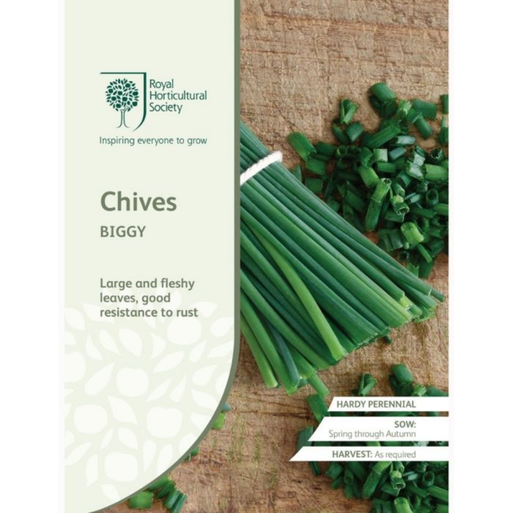 ROYAL HORTICULTURAL SOCIETY Seeds - Chives Biggy