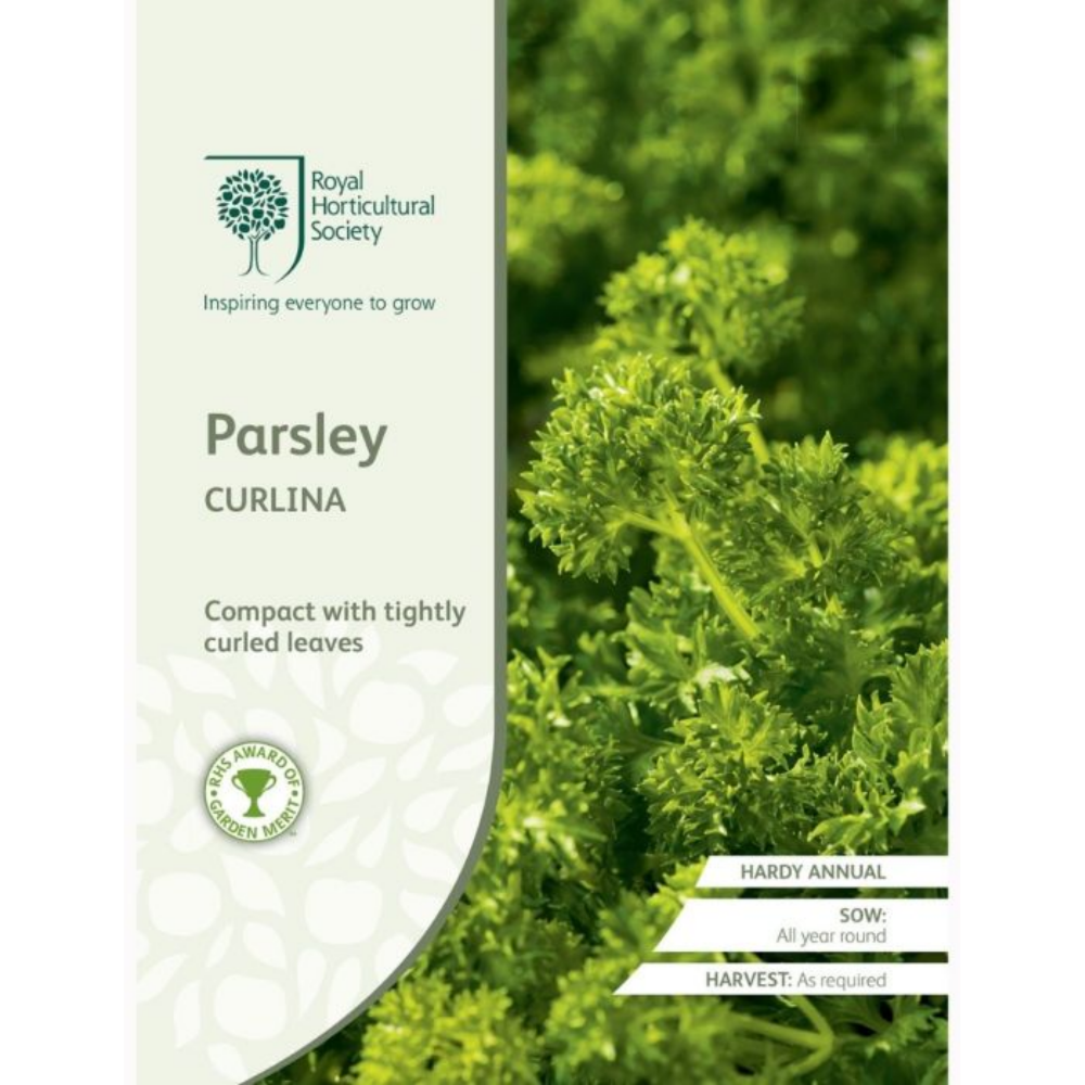 ROYAL HORTICULTURAL SOCIETY Seeds - Parsley Curlina