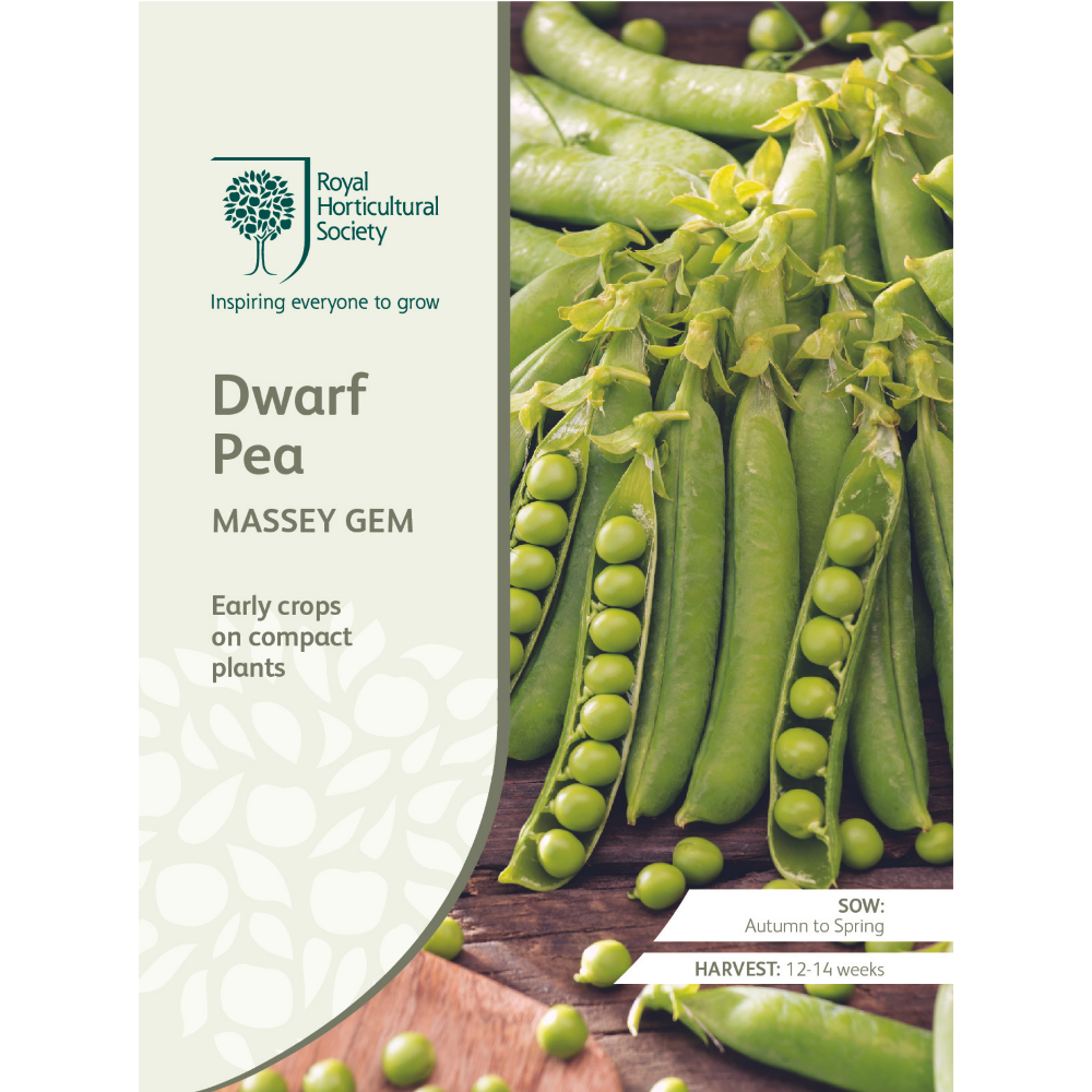 ROYAL HORTICULTURAL SOCIETY Seeds - Dwarf Pea Massey Gem