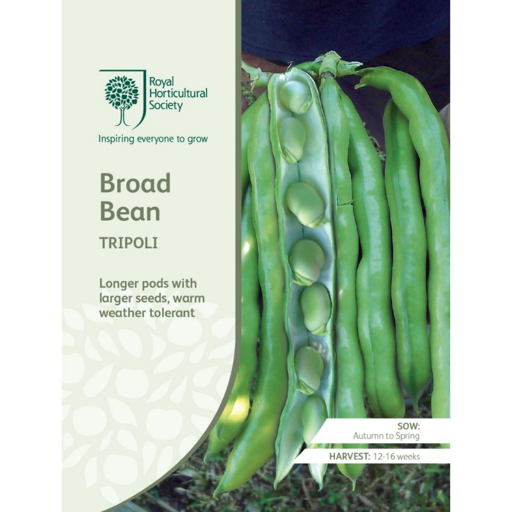 ROYAL HORTICULTURAL SOCIETY Seeds - Broad Bean Tripoli
