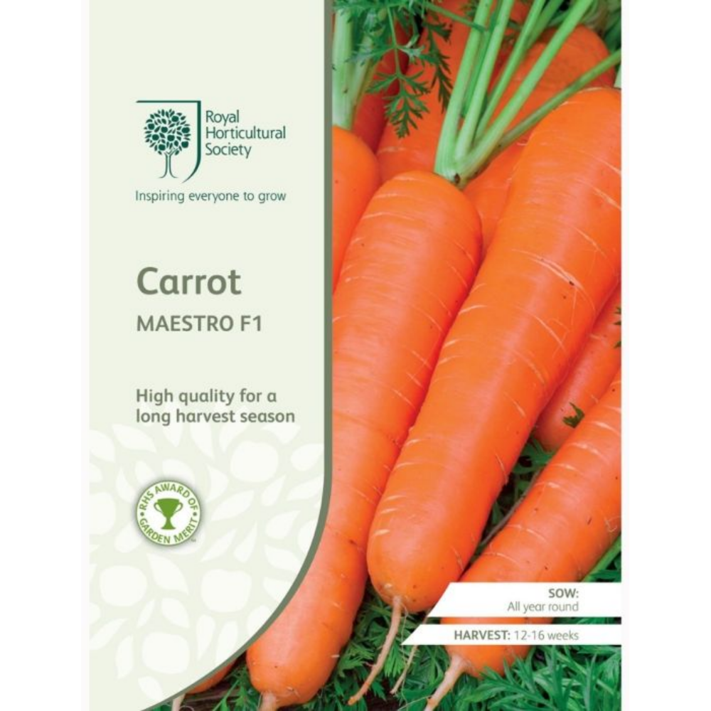 ROYAL HORTICULTURAL SOCIETY Seeds - Carrot Maestro F1