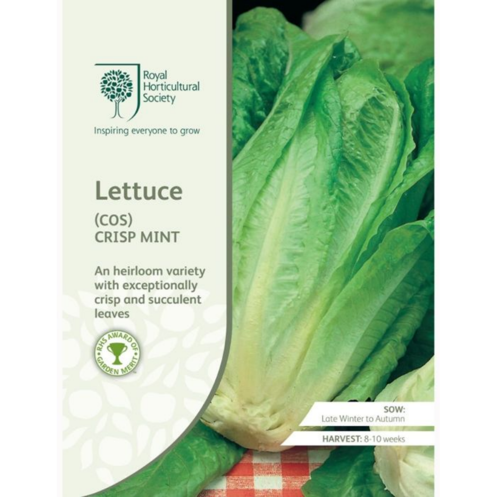 ROYAL HORTICULTURAL SOCIETY Seeds - Lettuce (Cos) Crisp Mint