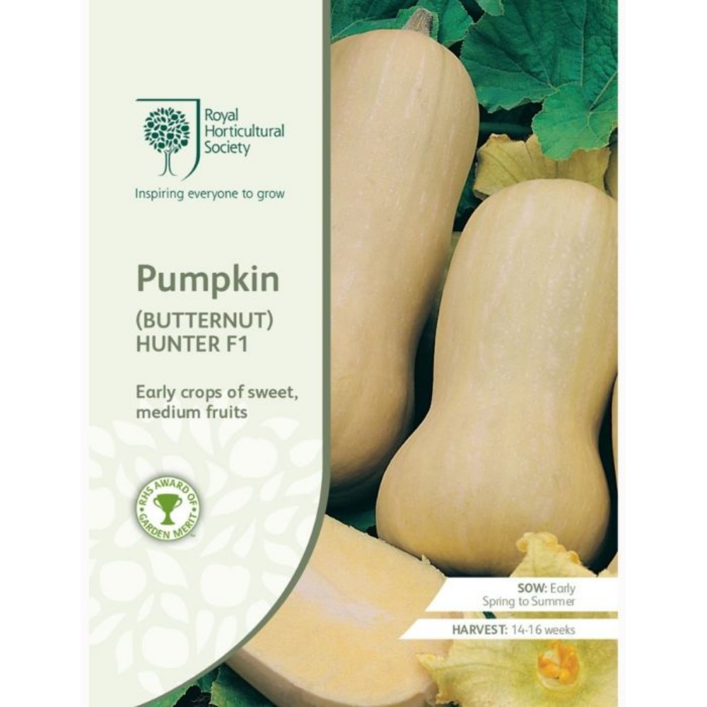 ROYAL HORTICULTURAL SOCIETY Seeds - Pumpkin (Butternut) Hunter F1