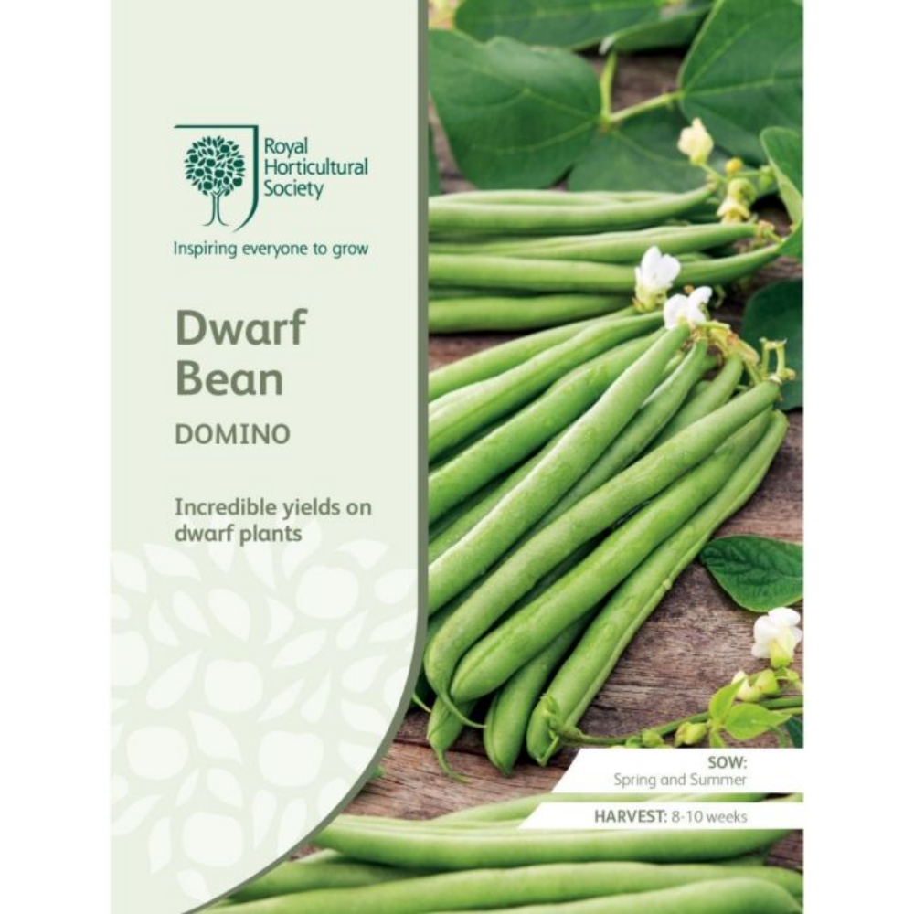 ROYAL HORTICULTURAL SOCIETY Seeds - Dwarf Bean Domino