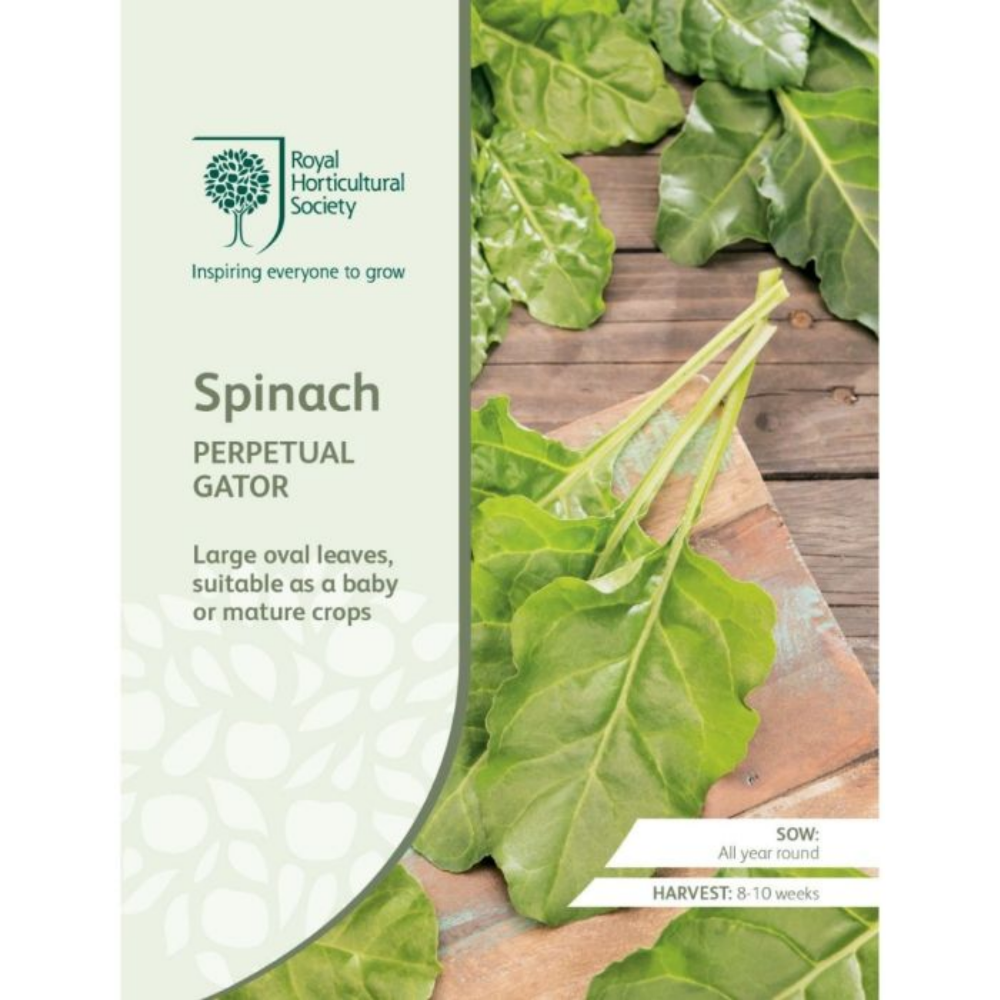 ROYAL HORTICULTURAL SOCIETY Seeds - Spinach Perpetual Gator