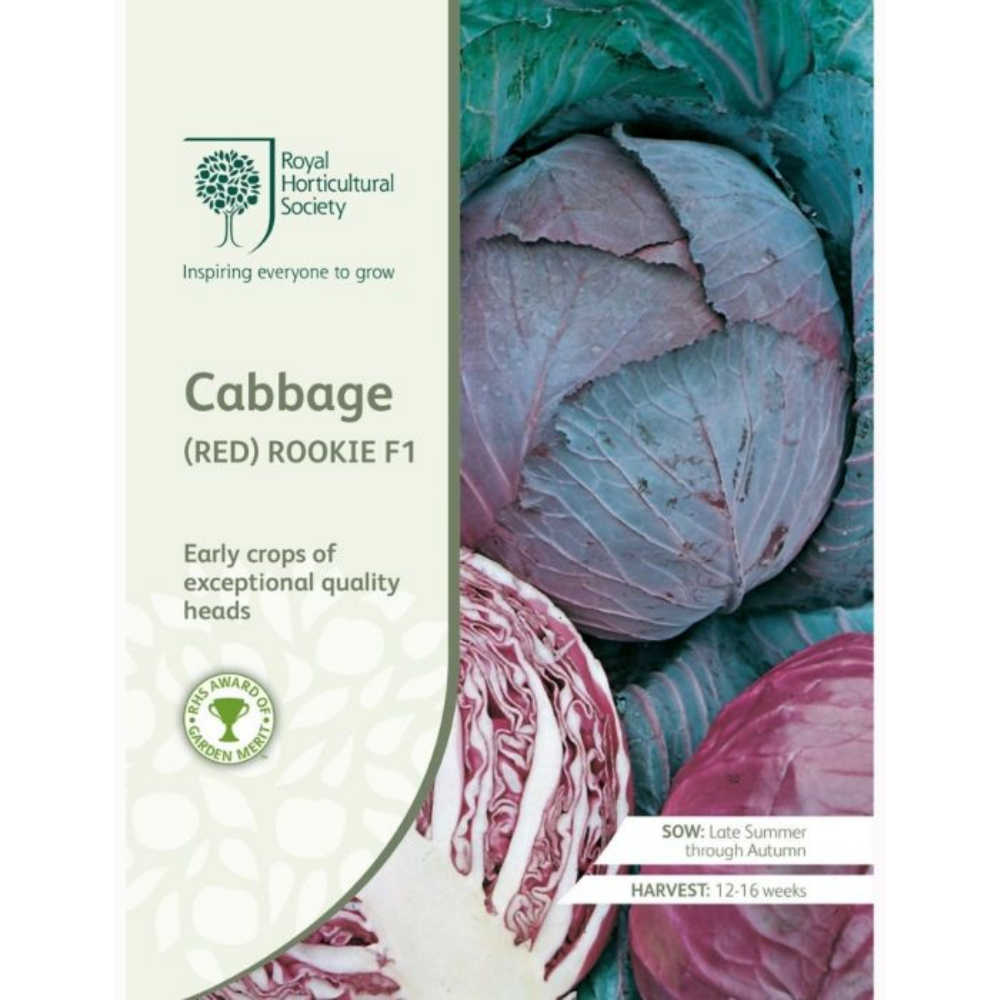 ROYAL HORTICULTURAL SOCIETY Seeds - Cabbage (Red) Rookie F1