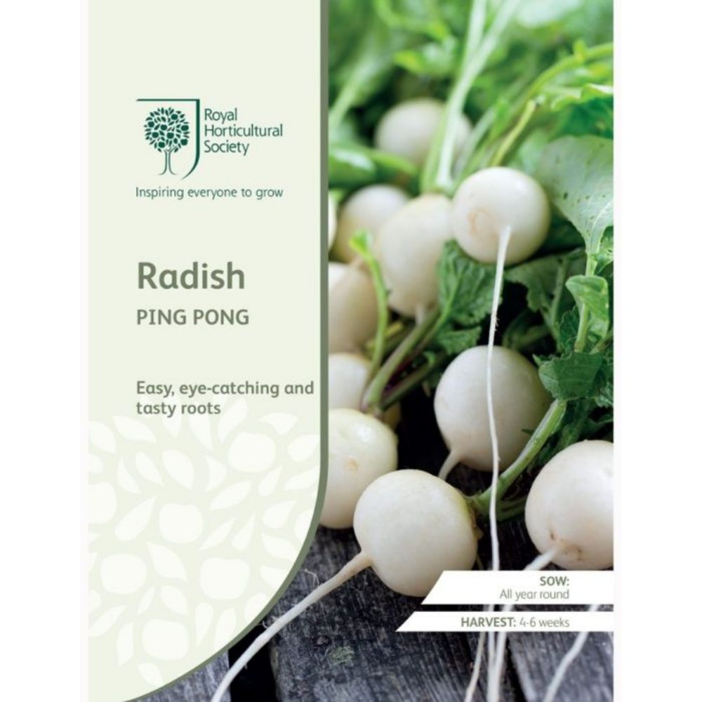 ROYAL HORTICULTURAL SOCIETY Seeds - Radish Ping Pong