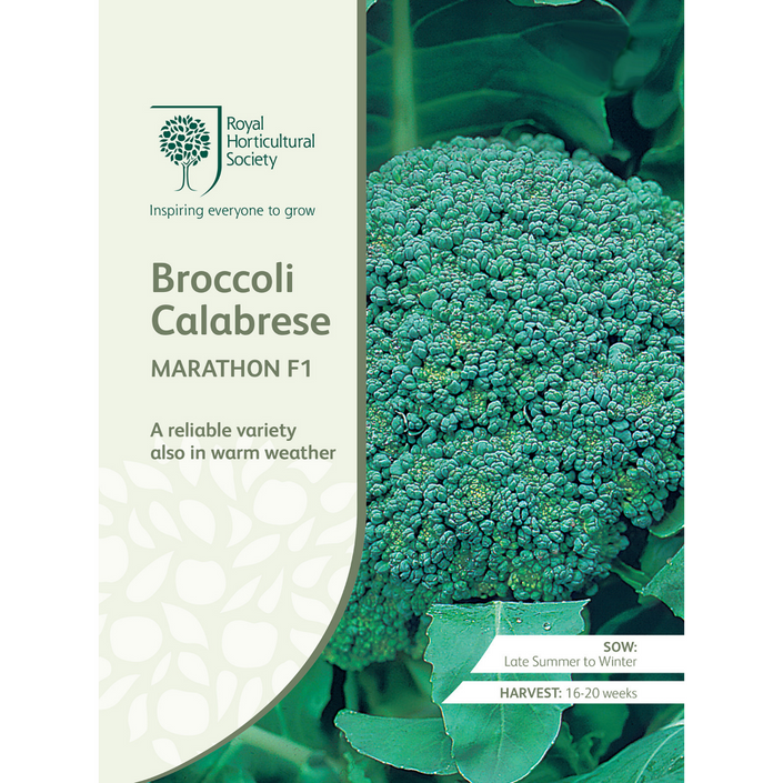 ROYAL HORTICULTURAL SOCIETY Seeds - Broccoli Calabrese Marathon F1