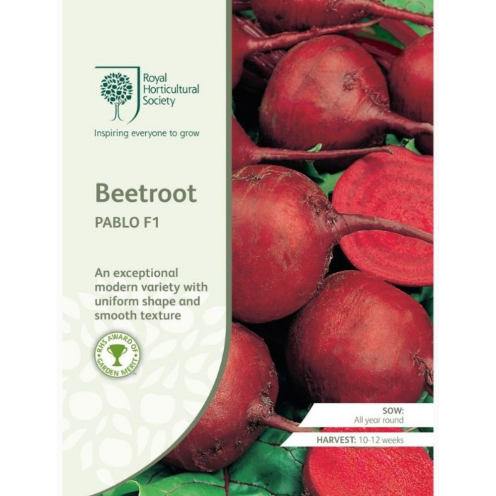 ROYAL HORTICULTURAL SOCIETY Seeds - Beetroot Pablo F1