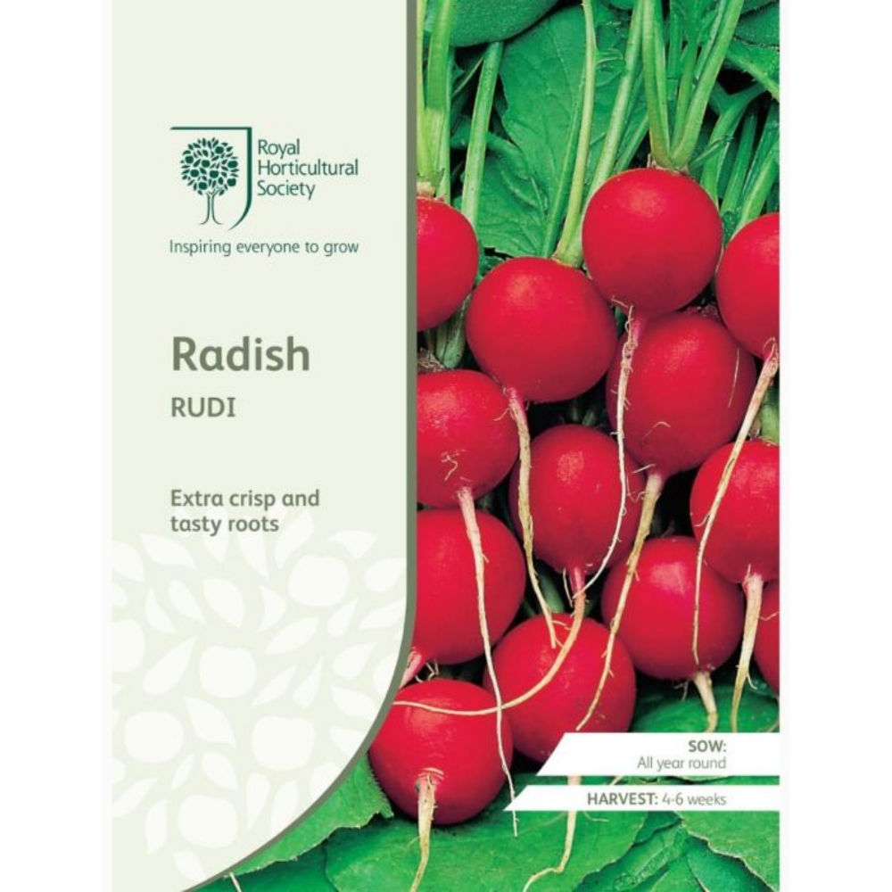 ROYAL HORTICULTURAL SOCIETY Seeds - Radish Rudi