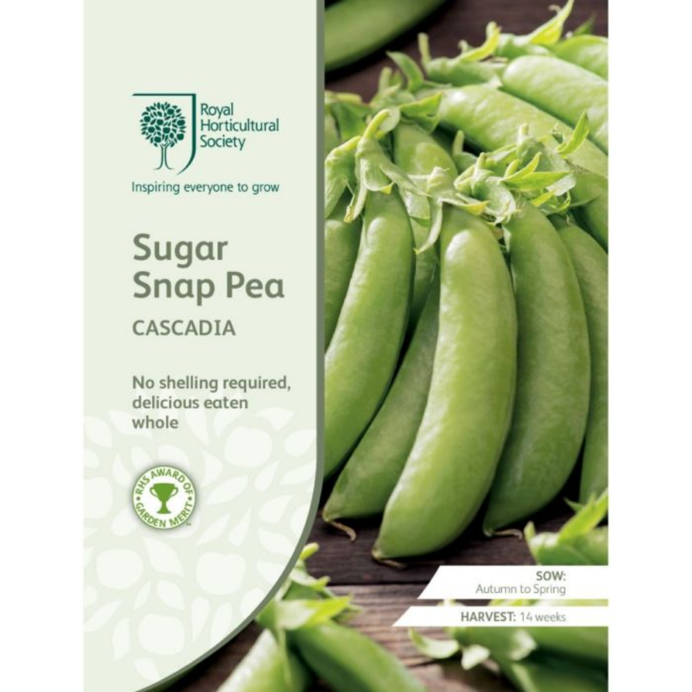 ROYAL HORTICULTURAL SOCIETY Seeds - Sugar Snap Pea Cascadia