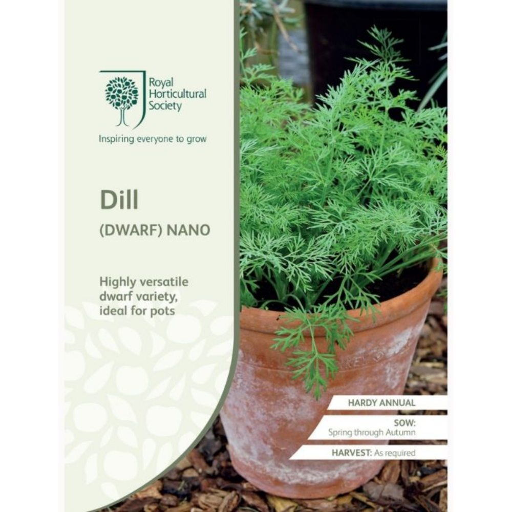 ROYAL HORTICULTURAL SOCIETY Seeds - Dill Nano (Dwarf)