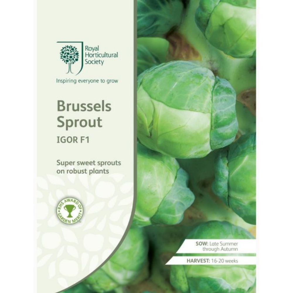ROYAL HORTICULTURAL SOCIETY Seeds - Brussels Sprout Igor F1