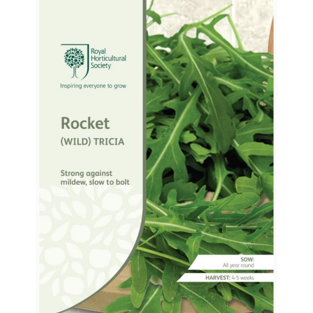 ROYAL HORTICULTURAL SOCIETY Seeds - Rocket (Wild) Tricia