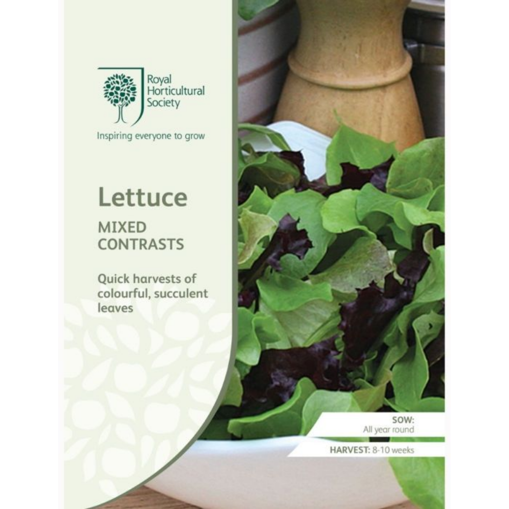 ROYAL HORTICULTURAL SOCIETY Seeds - Lettuce Mixed Contrasts