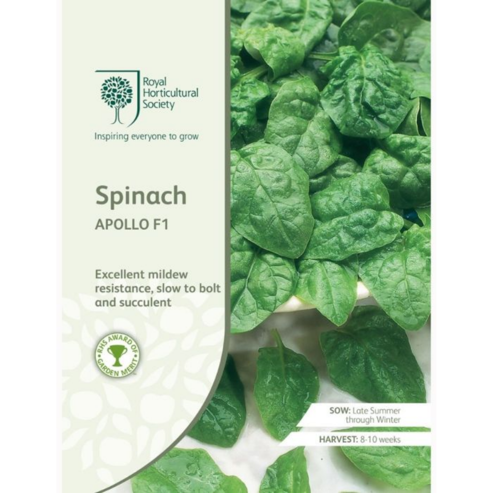 ROYAL HORTICULTURAL SOCIETY Seeds - Spinach Apollo F1