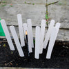 STING IN THE TAIL  Whiteboard Garden Labels - 10 pk