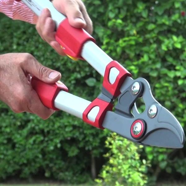 Trimming with a WOLF GARTEN Power Cut 'Premium Plus' 900mm Telescopic Bypass Lopper